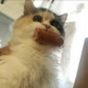 Meet your Posher, Kaine